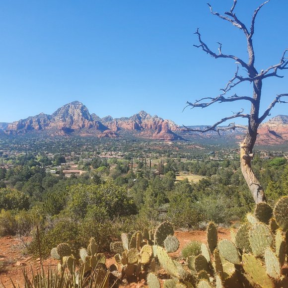 Meet your Posher, Shilpa - Picture 1 of 1